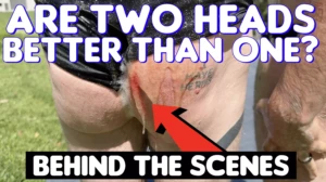 Screenshot 2025-12-10 at 10.50.37 am