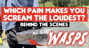 Screenshot 2026-02-19 at 12.26.14 pm