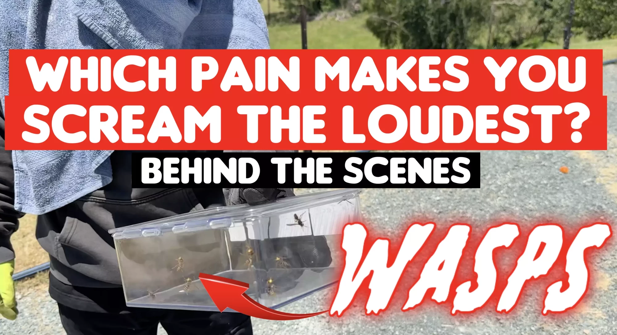 Screenshot 2026-02-19 at 12.26.14 pm