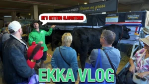 ekka vlog