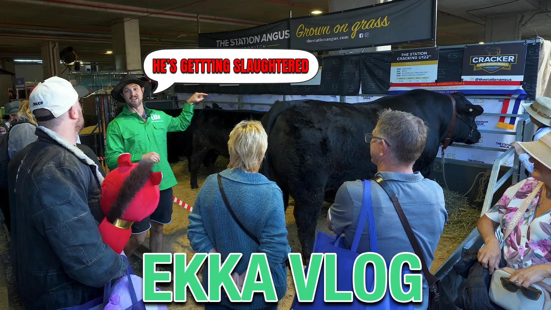 ekka vlog
