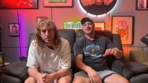drbudstemp